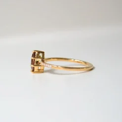 Anpé Atelier Customized Ring Med Brun Safir