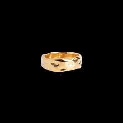 Enamel Sandra Forgyldt Ring - R91G