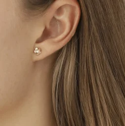 Flora Danica Forglemmigej Små Ørestikkere 18kt Guld