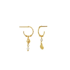 Maanesten Ophelia Forgyldte Hoops m. Muslingemotiver